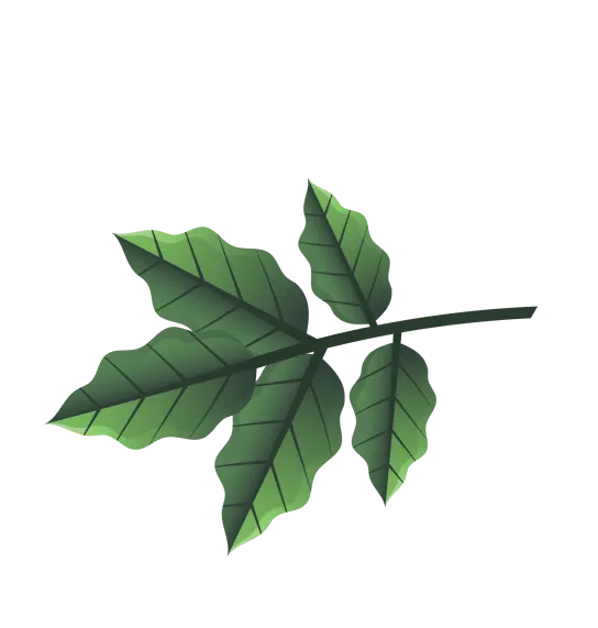 branch
