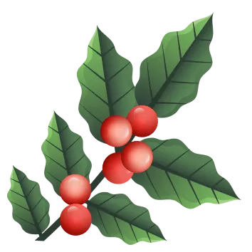 branch